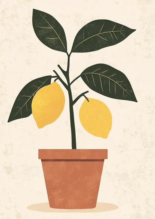 Citronnade