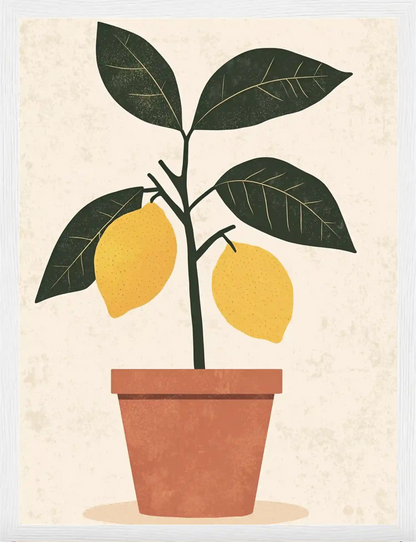 Citronnade