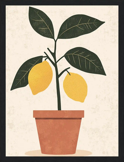 Citronnade