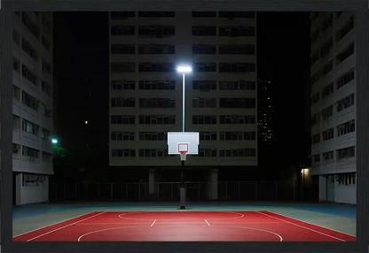 Hoops Haven