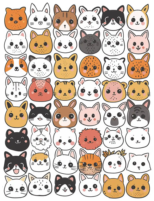 Funny Cat