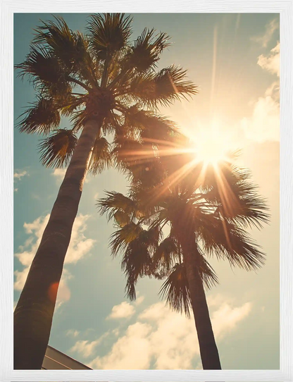 Oasis Serenity