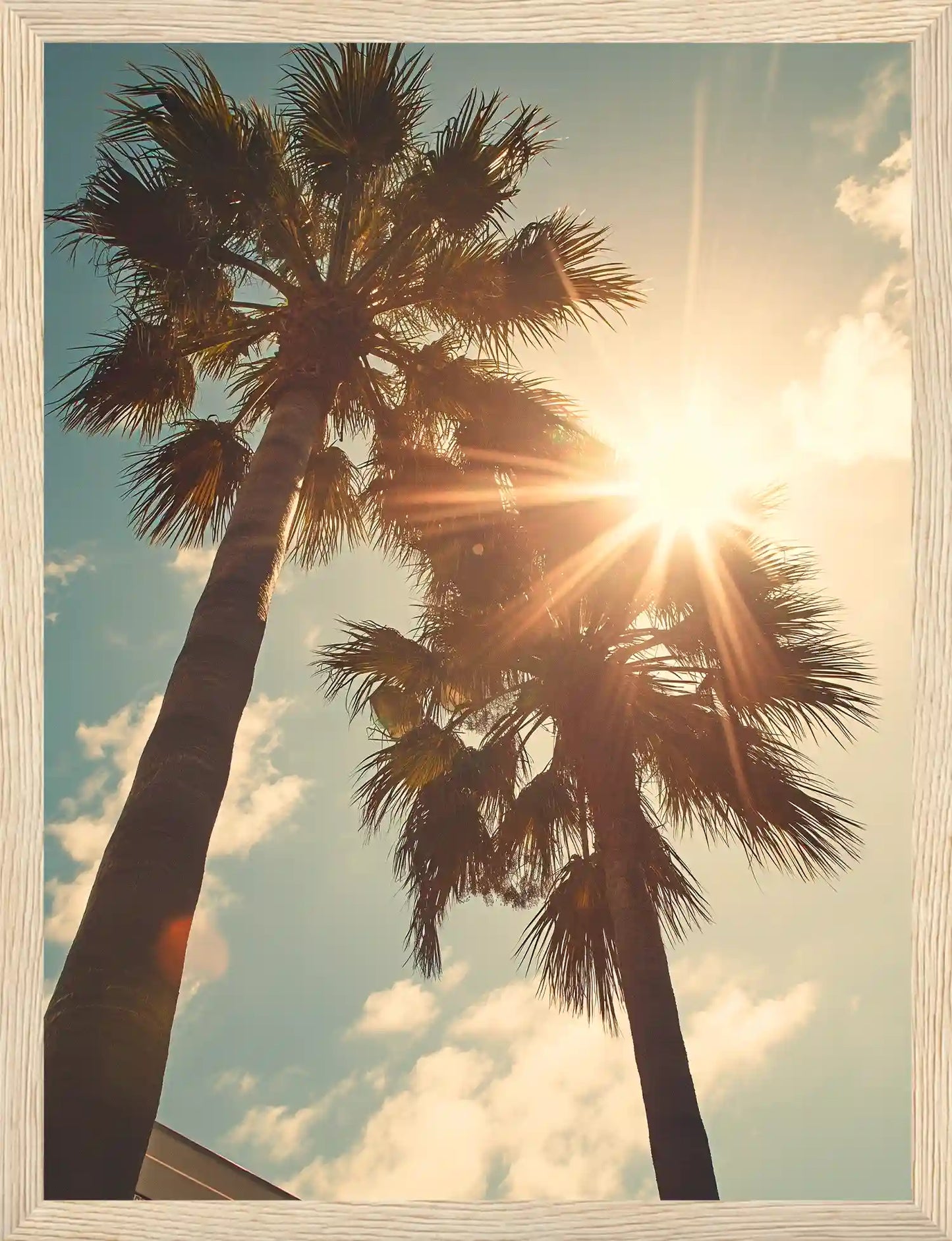 Oasis Serenity
