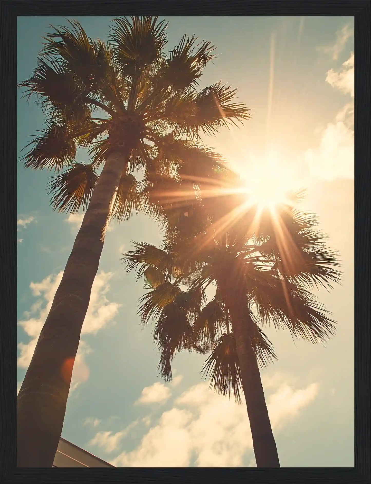 Oasis Serenity
