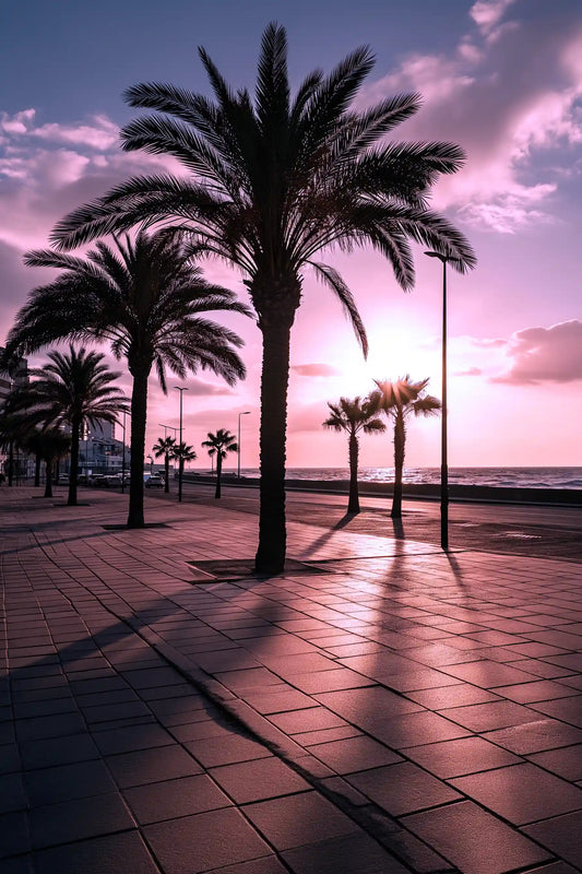 Summer Palms
