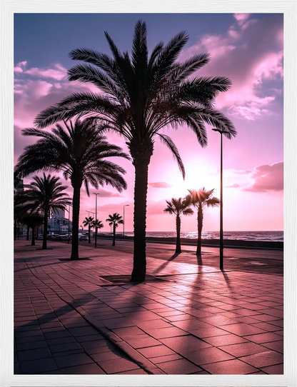 Summer Palms