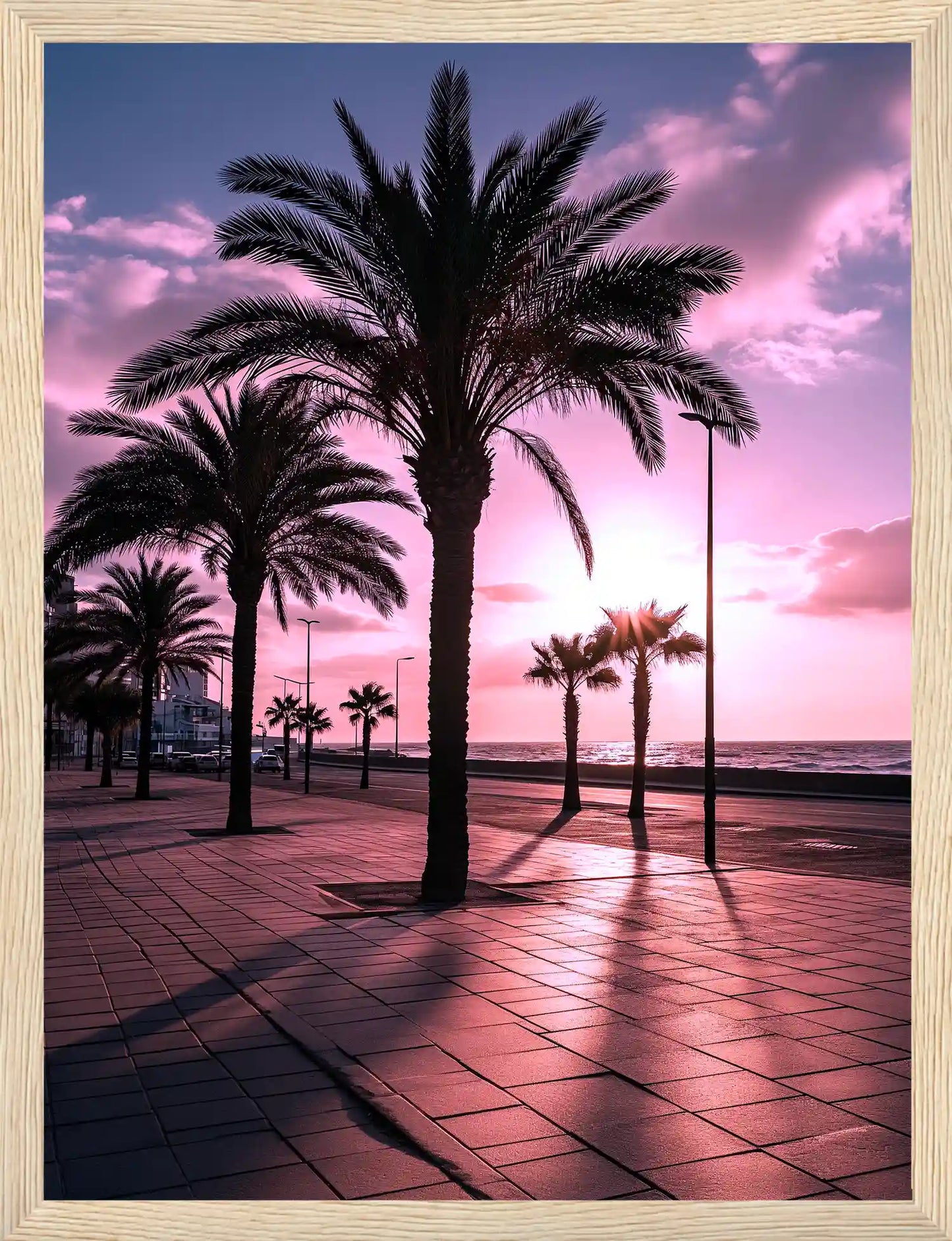 Summer Palms