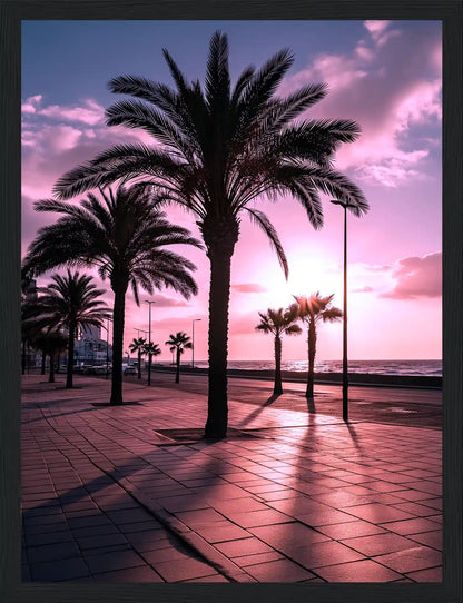 Summer Palms