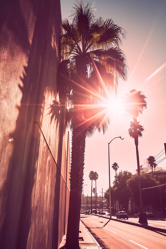 Golden Palms