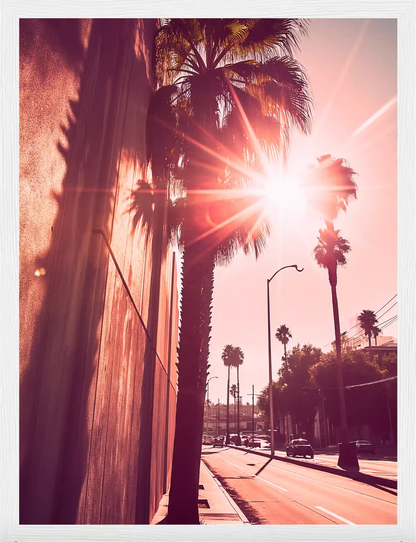 Golden Palms