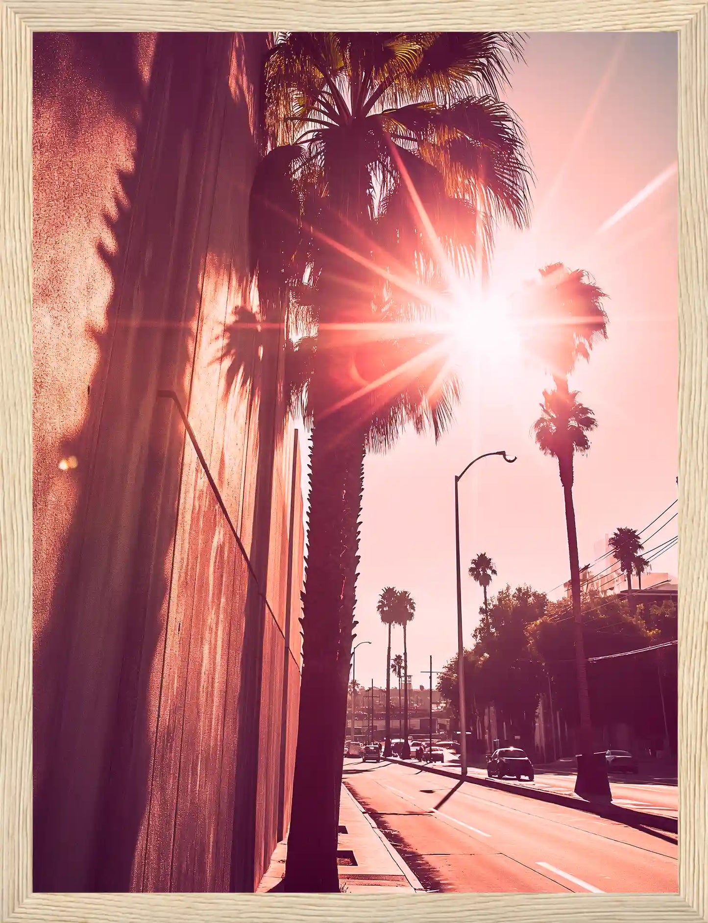 Golden Palms