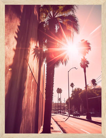 Golden Palms