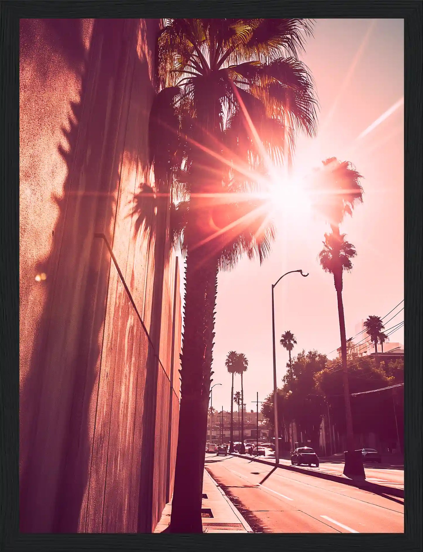 Golden Palms