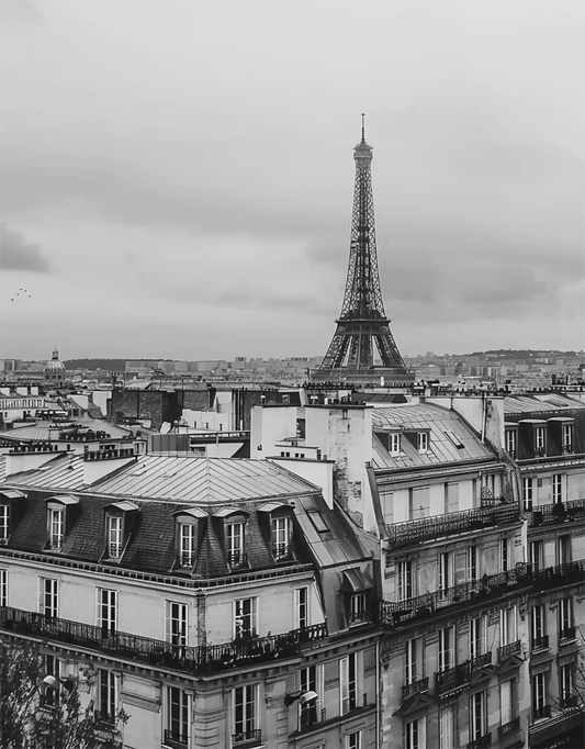 Parisian Elegance
