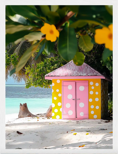 Island Vibes