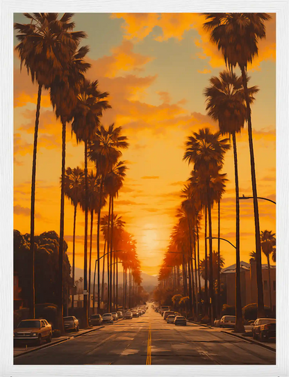 Palm Horizon