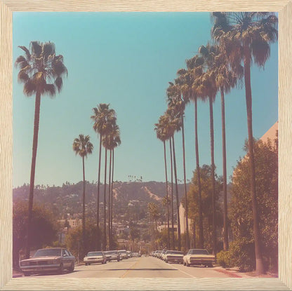 Sunset & Palms