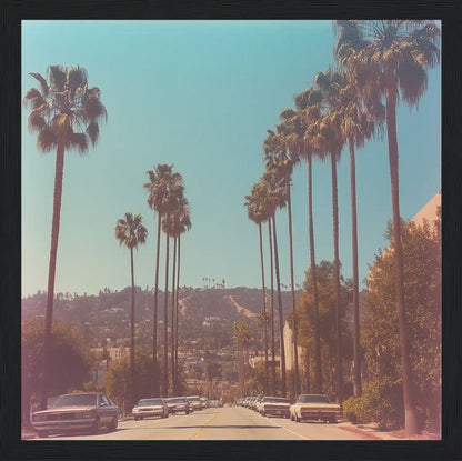 Sunset & Palms