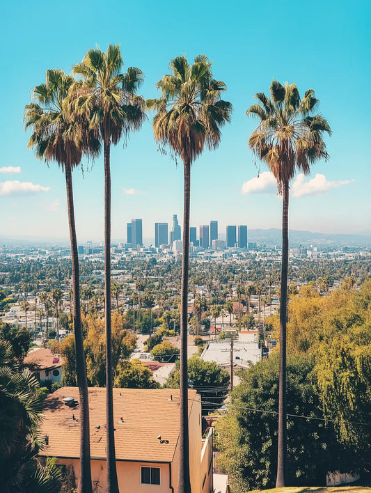 Sunset &amp; Palms 2